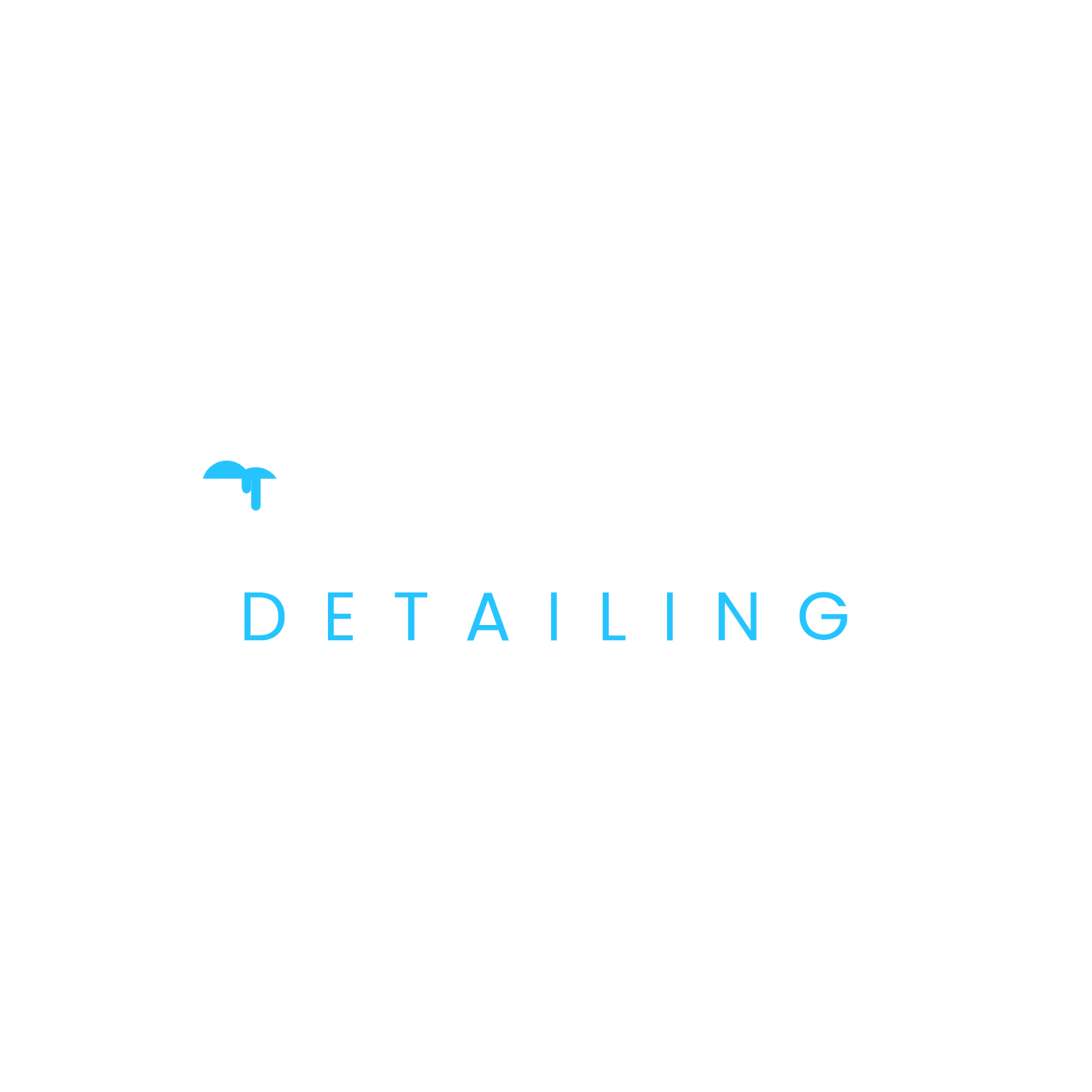 Pure Power Detailing Logo – White Text on Black Background for Clean, Modern Branding